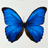 Ubatuba's Avatar