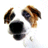 gosherrygo's Avatar